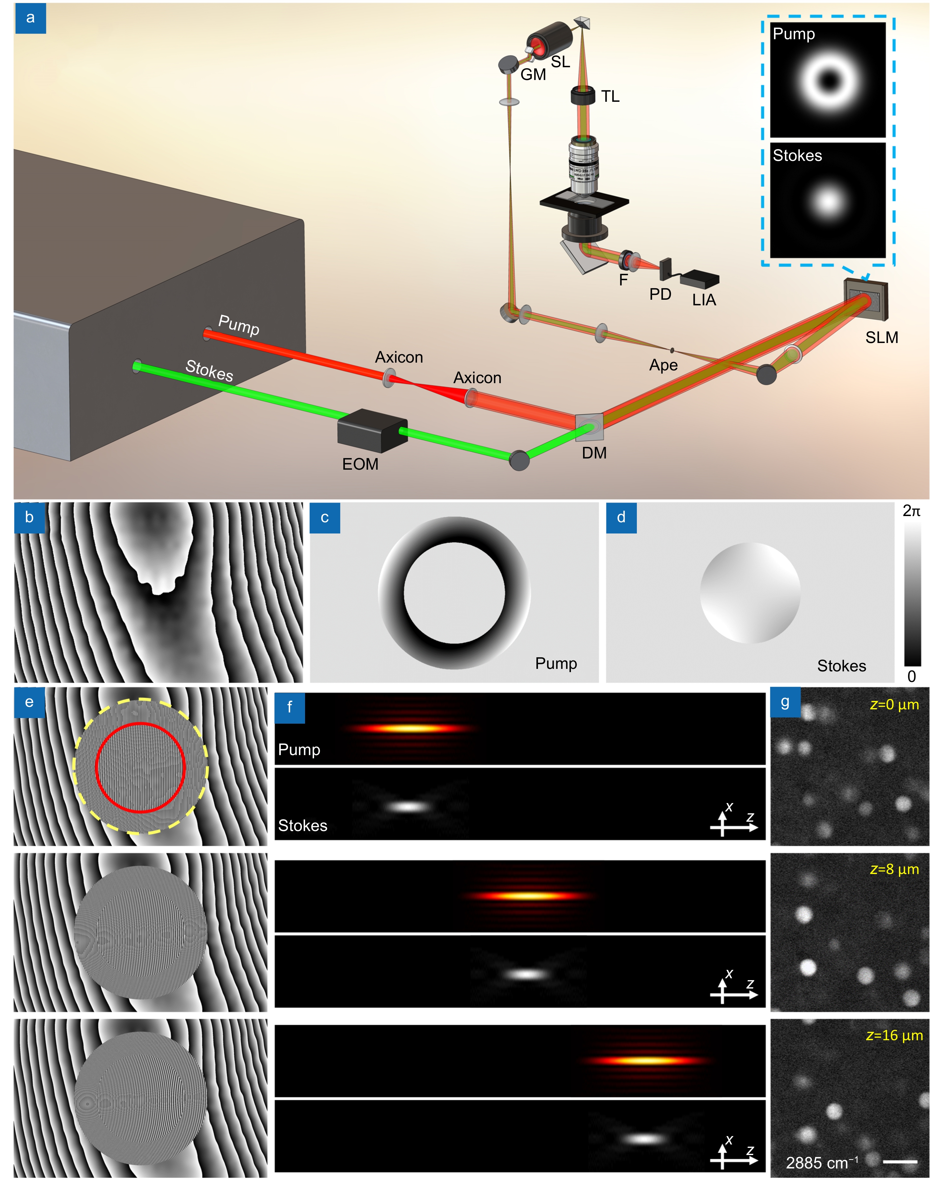 Opto-Electronic Advances_4