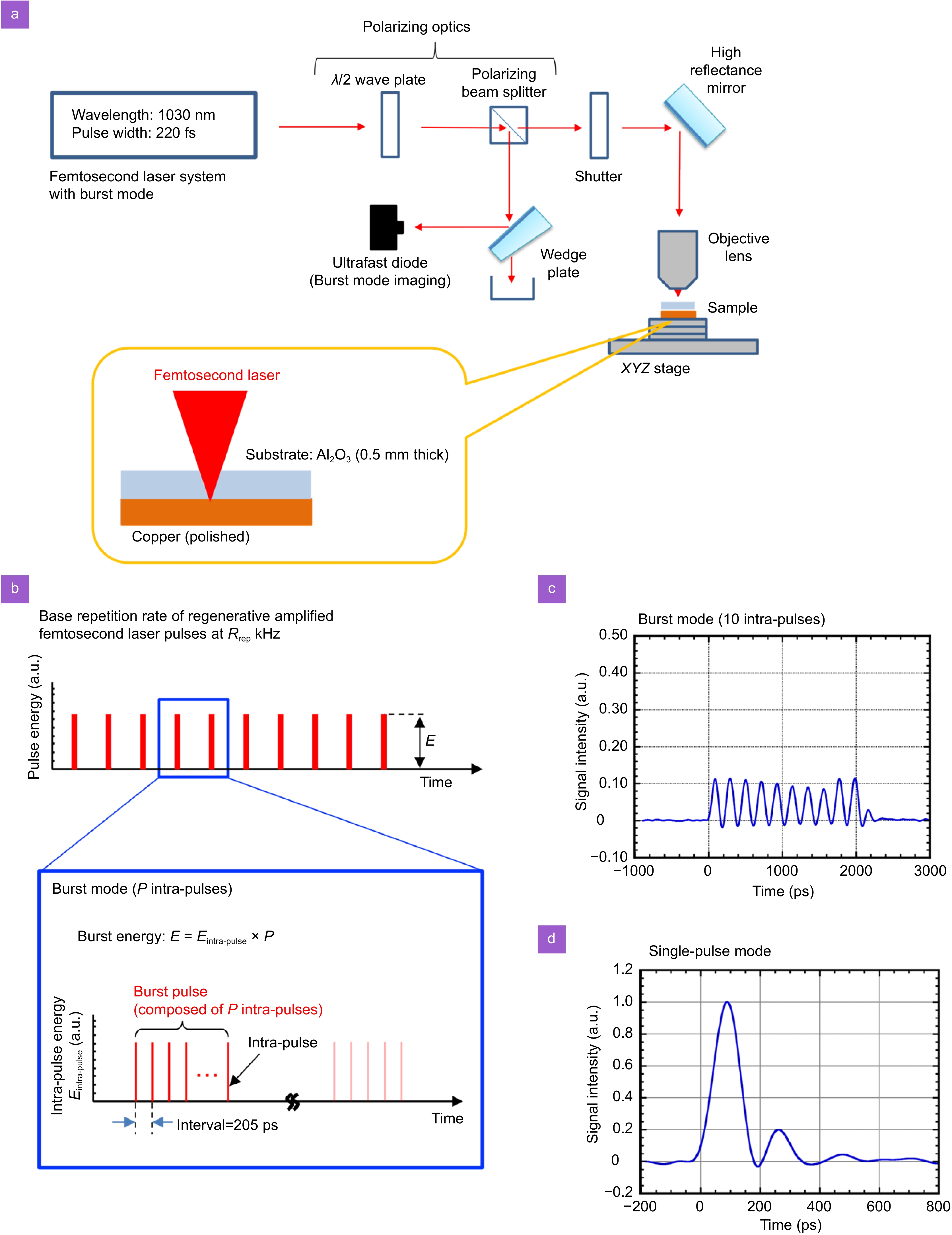 Opto-Electronic Science_3