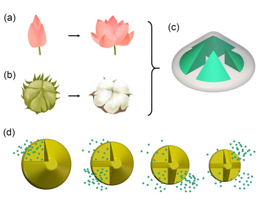 Journal of Zhejiang University Science B_4