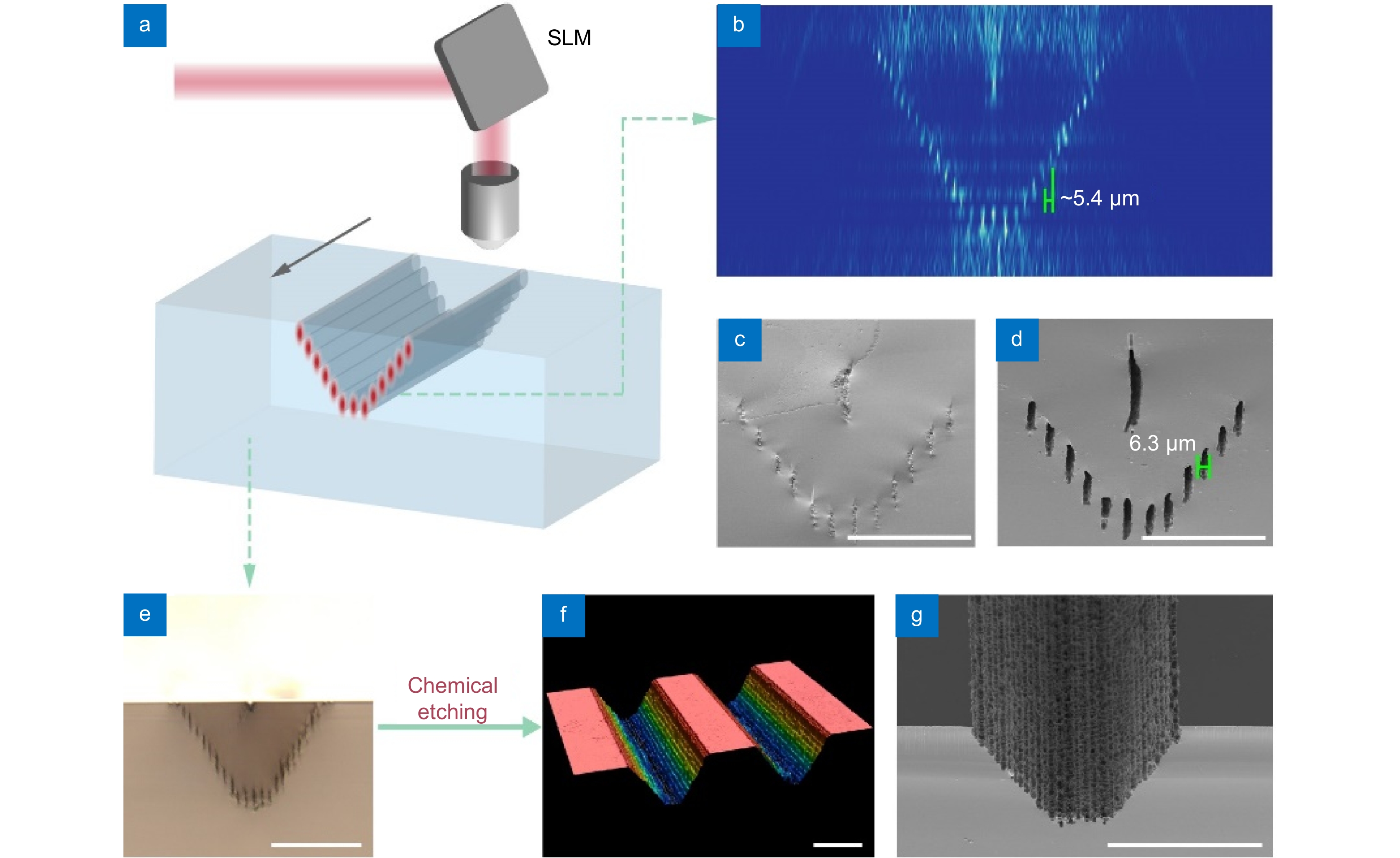 Opto-Electronic Advances_4