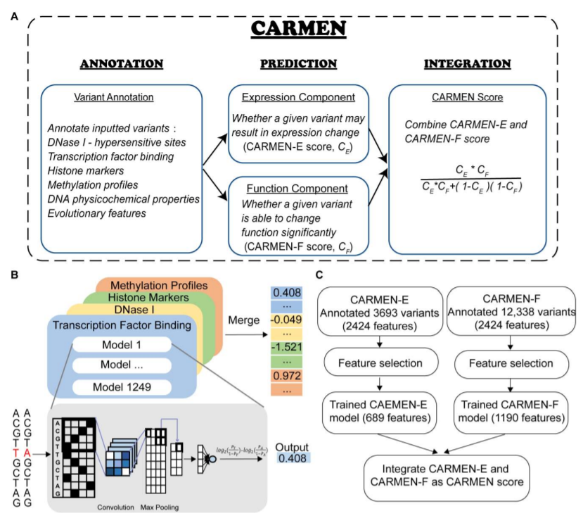 Genomics, Proteomics & Bioinformatics_3