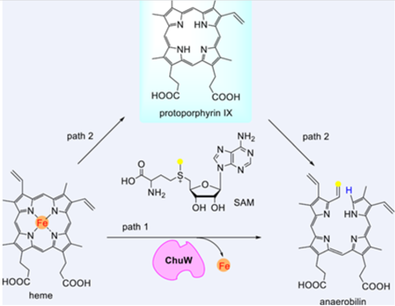 Chinese Journal of Chemistry_3